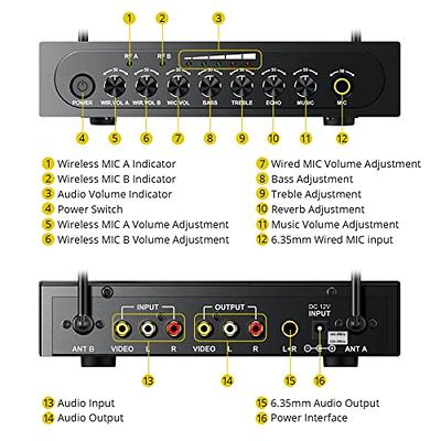 FerBuee Wireless Microphone Dual Professional Cordless Dynamic