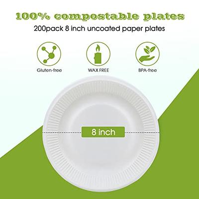 Vplus 100% Compostable Small Paper Plates, 300 Pack 6 Inch Disposable Paper  Plates, Uncoated Biodegradable Plates Made of Sugar Cane Fibers, Perfect