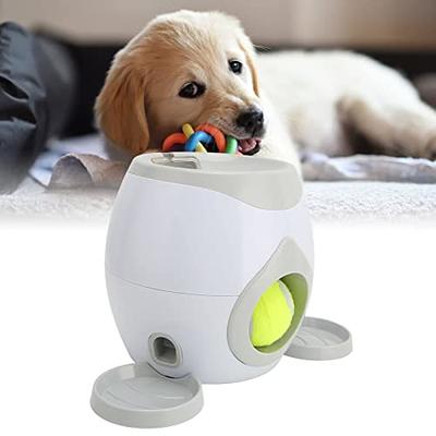 NETRCO Interactive Dog Toys Ball, Active Wicked Dog Ball with Remote  Control and LED Flash Light, Automatic Rolling Dog Ball, Self Moving  Bouncing Ball for Medium Dog, 2 Modes, USB Rechargeable 