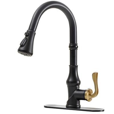 Delta Pull-Down High Arc Single Handle Kitchen Faucet