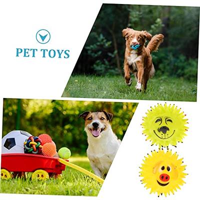 LEGEND SANDY Indestructible Squeaky Dog Chew Toys for Large Breeds, Treat  Dispensing Puzzle Toys, Natural Rubber Balls