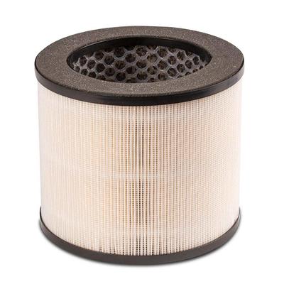 ProMounts H13 True HEPA Air Filter Replacement for NEO and ATHENA Smart Air  Purifiers, 3-in-1 Filter Removes 99.95% of Particles OFAN-01 - The Home  Depot