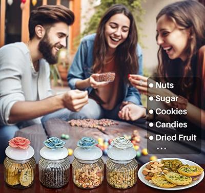 Airtight Jar Glass Storage Jar, Decorative Kitchen Lid, Glass Canisters for  Candy, Spice, Cookie, Sugar, Snacks 650ml 