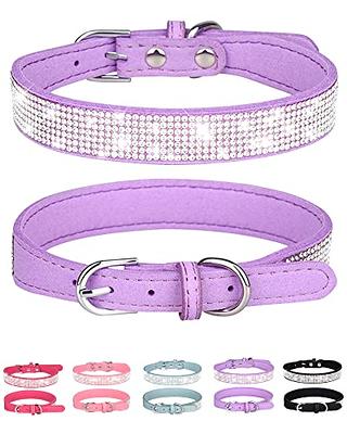 Lucky Love Dog Collars, Vivid Floral Dog Collar, Cute Dog Collar for Large Female  Dogs, Blackbird, Large - Yahoo Shopping