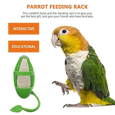 What do I need outside of the cage/in the room for a budgie? | Talk Budgies  Forums