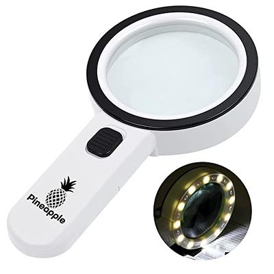Folding Handheld Magnifying Glass with Light, 3X Large Rectangle Reading  Magnifier with Dimmable LED for Seniors with Macular Degeneration,  Newspaper, Books, Small Print, Lighted Gift for Low Visions Black and White