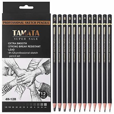 Qionew Professional Charcoal Pencils Drawing Set - 10 Pieces Super
