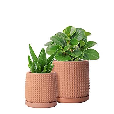 Set of 2 Terracotta Pots, 4 Inch and 6 Inch, Planter Pots for Plants with  Draina