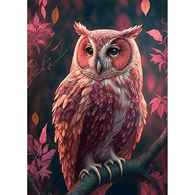 2 Pack Owl Diamond Painting Kits for Adults-Owl Diamond Art Kits for Adults,Owl Gem Art Kits for Adults for Gift Home Wall Decor(12x16inch)