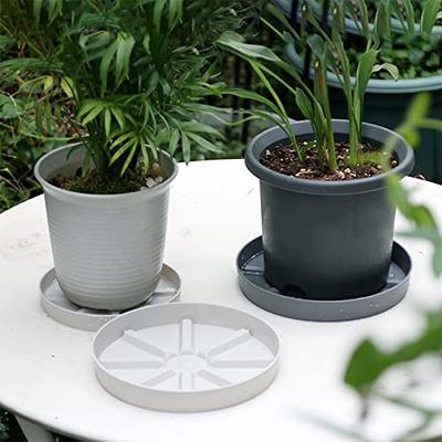 cdar Plastic Plant Saucer,Plant Tray,Planter Water Drip Tray