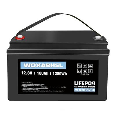 power queen 25.6V 200Ah LiFePO4 Battery, Lithium Battery Built-in