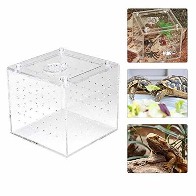 Jumping Spider Enclosure,8 x 4 x 4 Tarantula Enclosure and Acrylic Reptile Enclosure for Jumping Spiders Tarantula Insect Small Tree Dwelling