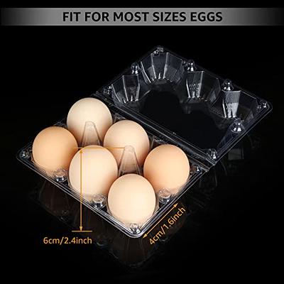 FVIEXE 100PCS Egg Cartons Cheap Bulk, Clear Egg Carton for Half Dozen  Chicken Eggs (6 Eggs), Plastic Egg Carton Bulk Egg Storage Containers  Holder Egg