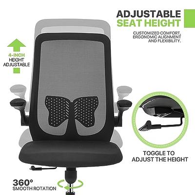  HOLLUDLE Ergonomic Office Chair with Foldable Backrest
