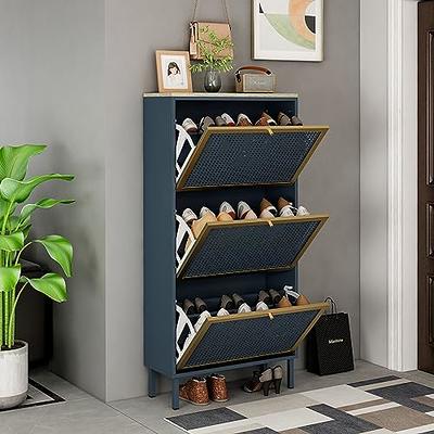 BYBLIGHT Lauren Brown Shoe Cabinet with Doors and Shelves, 16 Pairs Entryway Shoe Storage Cabinet with LED Light, Shoe Racks, Black