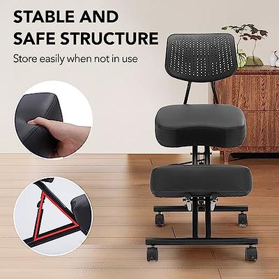 SOMEET Ergonomic Office Chair Home Office Desk Chair with Lumbar