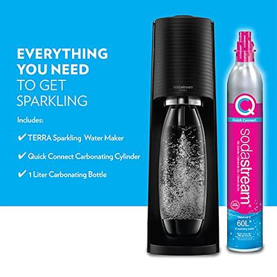 SodaStream Art Sparkling Water Maker (Black) with CO2 and DWS Bottle