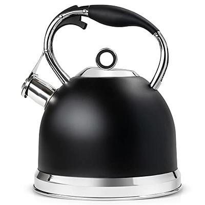 Teapot Stainless Induction Stovetop Tea Pot Office Hot Water Fast Boiling,  Best Gift For Tea Lover, 2 Colors To Choose Black
