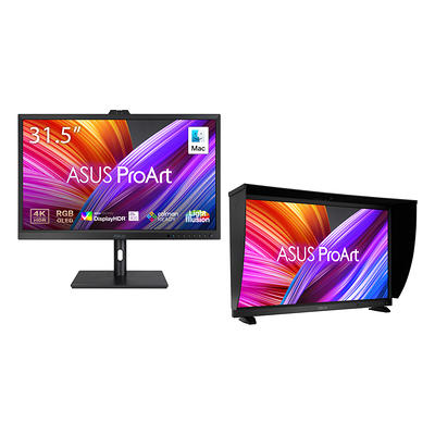 Asus ZenScreen MQ16AH 16 Class Full HD OLED Monitor - 16:9 