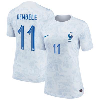 Nike Men's Nike White France National Team Lockup Legend Performance  T-Shirt