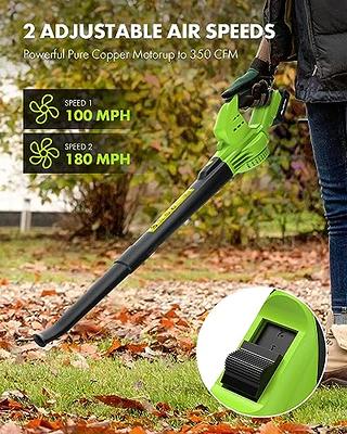 20V Cordless Leaf Blower (130 MPH/140CFM), 2.0Ah Battery and Charger