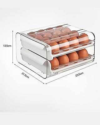 32 Egg Holder for Refrigerator, Large Capacity Egg Container for  Refrigerator, 2 Layers Clear Plastic Egg Fresh Storage Box for Fridge,  Upgrade Egg Storage & Egg Tray 