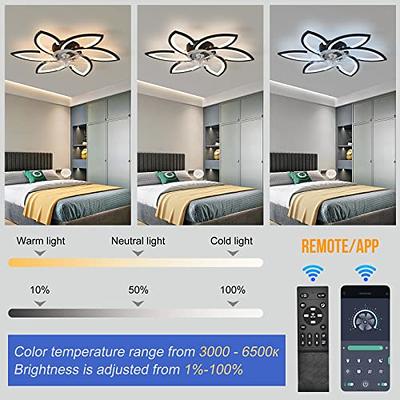  Dalouguan Ceiling Fan with Lights Remote Control, 24