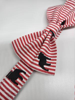 UNIVERSITY OF GEORGIA PINK DOG LEASH