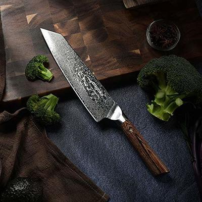 Professional Kitchen 8 inch Chef Knife - 67 Layers VG-10 Damascus Steel  Knife,Ultra-Sharp Cooking Knife with Ergonomic Wood Handle, Sheath & Beauty
