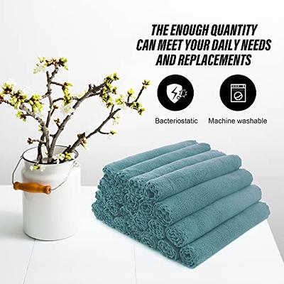 Zwipes Ultra-Large Premium Absorbent Microfiber Drying Towel, Plush and  Lint-Free Cloth in Blue (13-Pack) 606-13 - The Home Depot