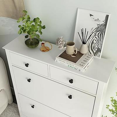  HANLIVES Shoe Cabinet for Entryway, White Narrow Shoe