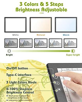 Rechargeable A4 Light Pad for Tracing, USB Powered Light Table with  Adjustable Brightness for Diamond Painting Light Tracing Box Copy Board  Sketching Drawing and Weeding Vinyl - Yahoo Shopping