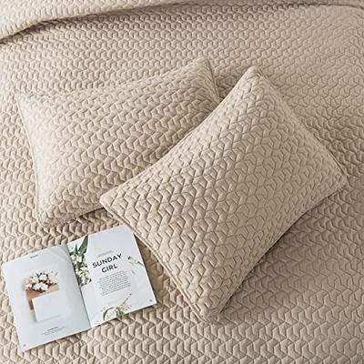 WDCOZY Beige Queen Size Quilt Bedding Sets with Pillow Shams, Cream Tan  Lightweight Soft Bedspread Coverlet, Quilted Blanket Thin Comforter Bed  Cover