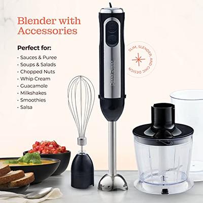 stainless steel blender with powerful motor