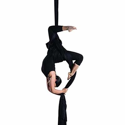 Antigravity Aerial Yoga Swing Pilates Swing Sling Hammock?Inversion  Complete Sets Professional Studio Equipment(Purple 5?¨¢2.8m)