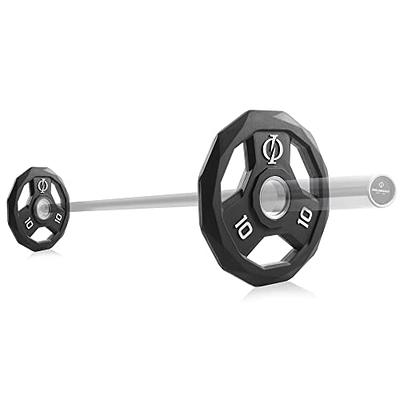 Philosophy Gym Set of 2 Standard Cast Iron Olympic 2-inch Weight Plates (45  LB each)