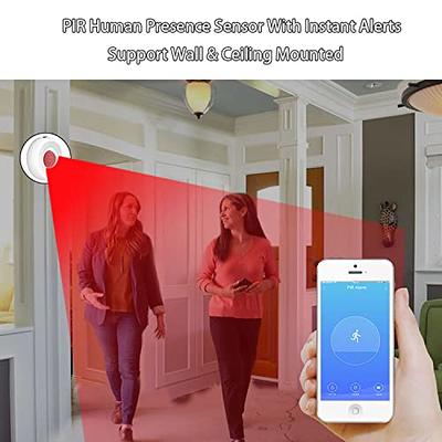 WiFi Smart Motion Sensor: Wireless PIR Motion Detector, Indoor Infrared  Sensor with Free App Alerts, 360 Degree Detection Range, No Hub Required,  Home Security Alarm Compatible with Alexa 