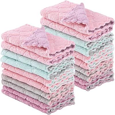 kimteny Machine Washable Coral Velvet Dish Towels, 12-Pack