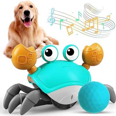 Zentric Active Moving Pet Toy, Interactive Dog Toy Pet Bouncing Balls