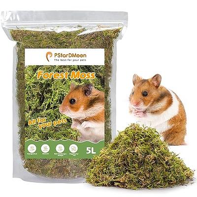 PStarDMoon Pure Natural Hamsters Bedding Nesting, Small Animal Habitat  Decoration, Hamster Cages Accessories, Pet Litter for Dwarf Syrian Hamsters,  Gerbils, mices, Degus (Moss, 5L) - Yahoo Shopping