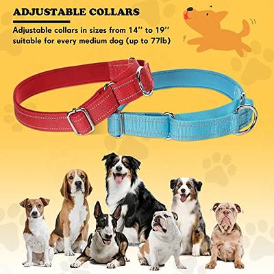 Mile High Life Dog Collar Cute Puppy Collars Lightweight Girl Dog