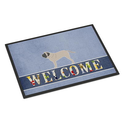 T.HENV Door Mat Welcome, Outdoor/Indoor Heavy Duty Non Slip