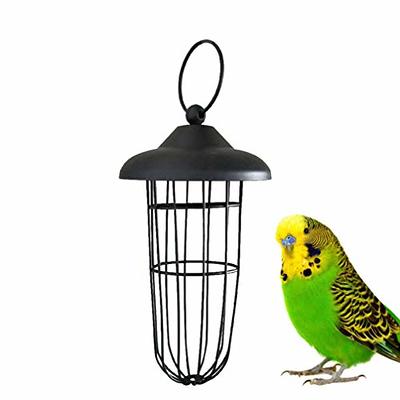 PIAOLGYI Suet Ball for Bird Buddy,Suet Holder Cup Suitable for