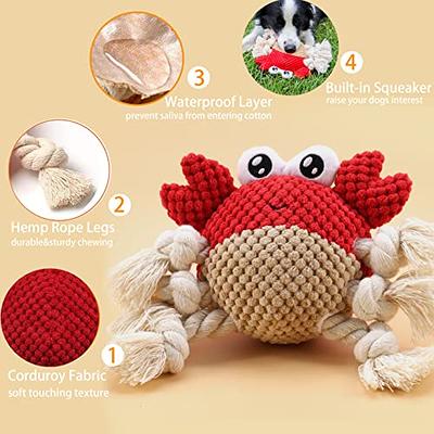Suertree Squeaky Dog Toys for Aggressive Chewer, Interactive Puppy Toys for Small  Dogs, Duck, Chicken, Bird Dog Plush Toys, Medium Dog Birthday Toy with  Crinkle Paper, Dog Rope Toys, Dog (Medium) 