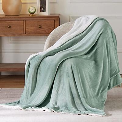 Bedsure Sherpa Fleece Throw Blanket for Couch - Thick and Warm Blankets,  Soft and Fuzzy Throw Blanket for Sofa, Light Grey, 50x60 Inches