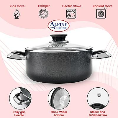 Alpine Cuisine 2 Quart Non-stick Stock Pot with Tempered Glass Lid and  Carrying Handles, Multi-Purpose Cookware Aluminum Dutch Oven for Braising