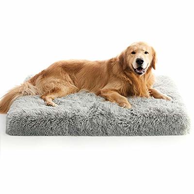 Small Dog Bed, Orthopedic Egg Crate Foam Dog Bed with Removable Washable Cover, Waterproof Dog Mattress Nonskid Bottom, Comfy Anti Anxiety Pet Bed Mat