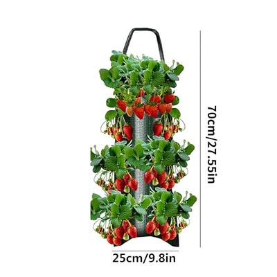 ZHIPAI Upside Down Tomato Planter,Grow Bags Hanging Strawberry Planter  Strawberry Tomato Potato Vegetable Planting Bag with 8 Holes(Red/Green) -  Yahoo Shopping