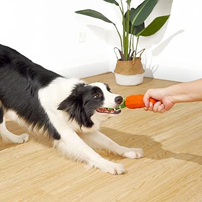 Rubber Carrot Dog Toys for Training and Cleaning Durable