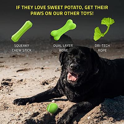 Playology Dog Balls for Medium and Large Dog Breeds(10lbs & Up) - Dog Ball  for Aggressive Chewers - Squeaky Toy, Engaging All-Natural Sweet Potato  Scented - Non-Toxic Rubber Dog Ball Toys 
